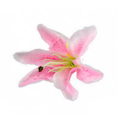 GŁÓWKI KWIATÓW LILIE RÓŻOWE 6 SZT.