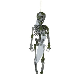 SZKIELET WISZĄCY Z MCHEM 40 CM