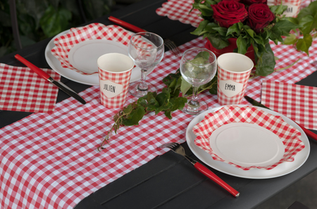 BIEŻNIK WŁÓKNINOWY W CZERWONĄ KRATKĘ 40X480 CM