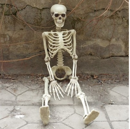 DEKORACJA SZKIELET 90 CM