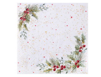 SERWETKI PAPIEROWE ZIMOWA JARZĘBINA 33 CM 10 SZT