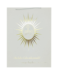 TOREBKA PAPIEROWA KOMUNIJNA 24 X 18 X 8,5 CM