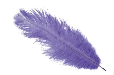 PIÓRO STRUSIE FIOLETOWE 30CM 1 SZT