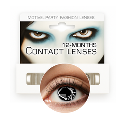 SOCZEWKI ROCZNE SZKIELET