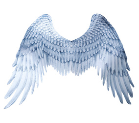 SKRZYDŁA ANIOŁA SREBRNE 100 X 70 CM