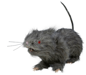 DEKORACJA ŚWIECĄCY SZCZUR 30 CM HALLOWEEN