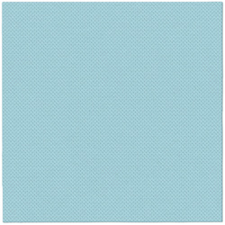 SERWETKI SOFTPOINT JASNONIEBIESKI 38 X 38 CM 50 SZT.