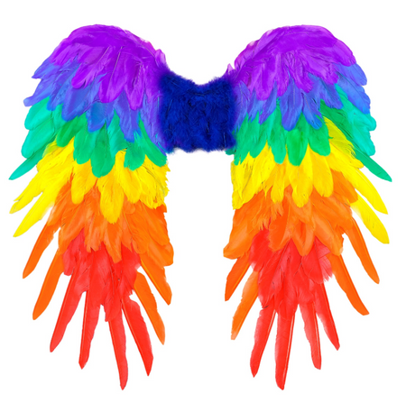 SKRZYDŁA TĘCZOWE 50 X 50 CM