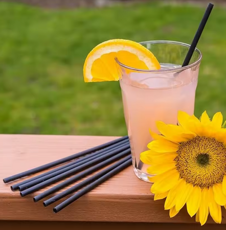 SŁOMKI WIELORAZOWE PROSTE CZARNE 20 SZT