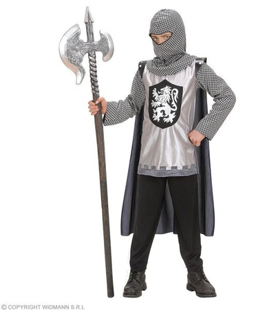 STRÓJ SREBRNY RYCERZ LWIE SERCE