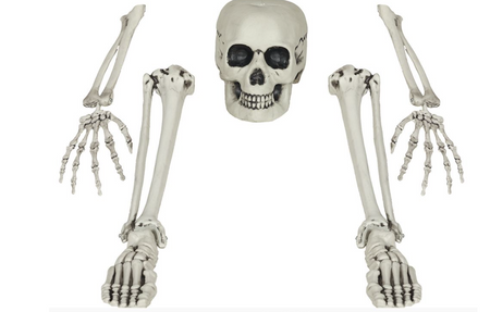 ZESTAW KOŚCI SZKIELETA 5 EL. 