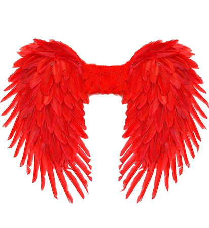 SKRZYDŁA CZERWONE 58X72 CM