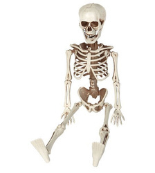 KOŚCIOTRUP WISZĄCY 40 CM