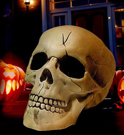 CZASZKA PLASTIKOWA Z RUCHOMĄ SZCZĘKĄ 21 CM 