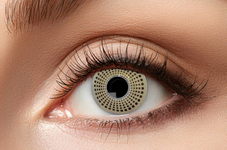 SOCZEWKI ROCZNE ZŁOTE GOLDEN DOTS