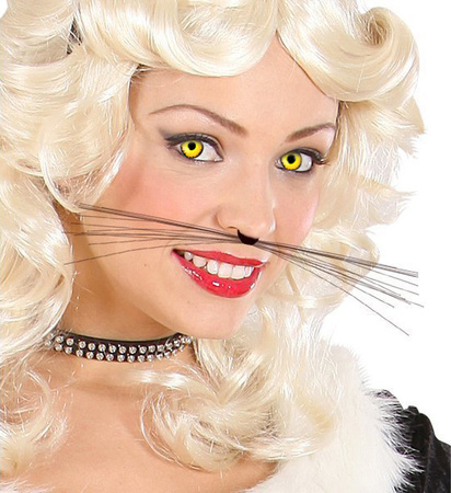 SOCZEWKI KWARTALNE LEW