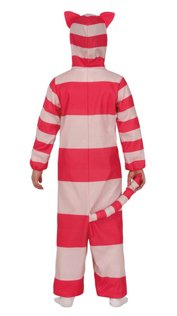 STRÓJ KOTEK W PASKI