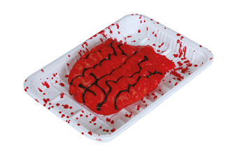 SZTUCZNY MÓZG NA TACY 18X13 CM