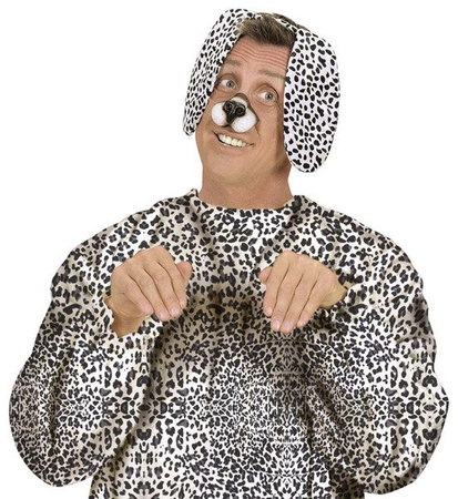 USZY DALMATYŃCZYK NA OPASCE