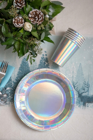 TALERZYKI PAPIEROWE HOLOGRAFICZNE 23 CM 10 SZT 