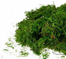 DEKORACYJNY SZTUCZNY MECH 30G