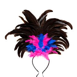 PIÓROPUSZ BRAZYLIJSKI CZARNO-NIEBIESKI