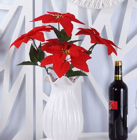 GWIAZDA BETLEJEMSKA BUKIET