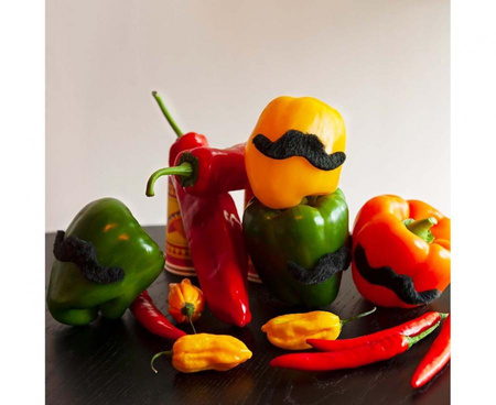 SZTUCZNE WĄSY 5 SZT.