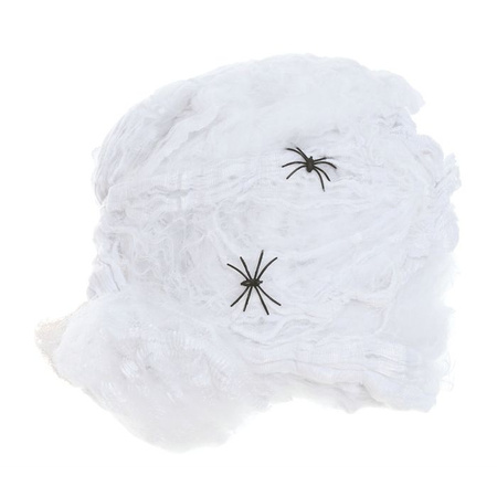 PAJĘCZYNA Z PAJĄKAMI 228G