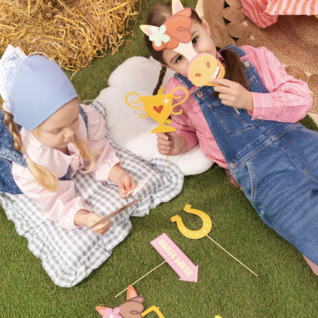 REKWIZYTY DO ZDJĘĆ KONIKI 11 SZT