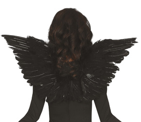 SKRZYDŁA CZARNE 52 CM