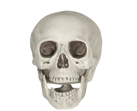 CZASZKA PLASTIKOWA Z RUCHOMĄ SZCZĘKĄ 16 CM