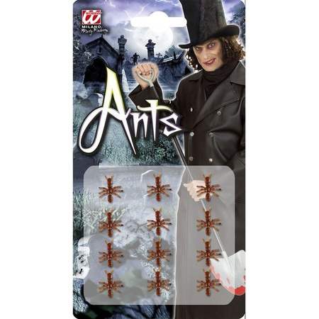 ZESTAW MRÓWEK