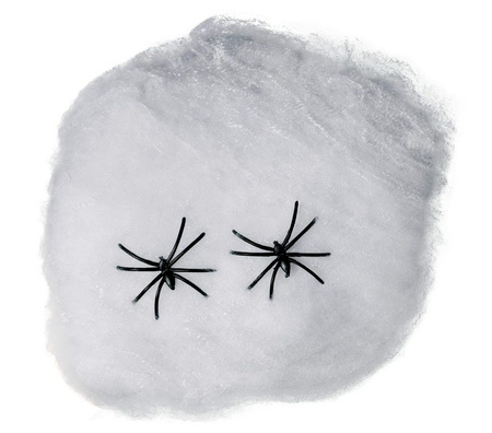 PAJĘCZYNA BIAŁA Z PAJĄKAMI 10 G