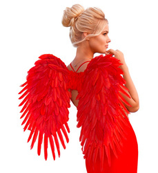 SKRZYDŁA CZERWONE 58X72 CM