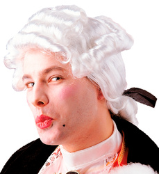 PERUKA BAROKOWA SZLACHCIC