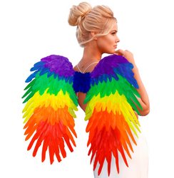 SKRZYDŁA TĘCZOWE Z PIÓR