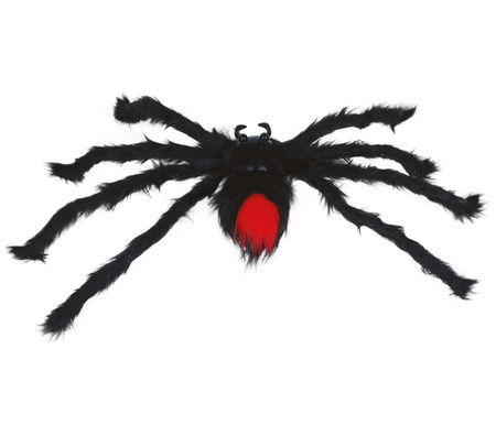 CZARNY WŁOCHATY PAJĄK 60 CM