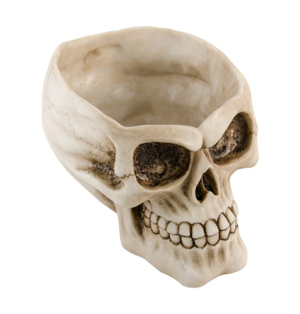 MISKA CZASZKA ŻYWICA 