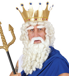 PROFESJONALNA  PERUKA ZEUS