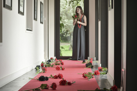 DYWAN JEDNORAZOWY CZERWONY 100 X 1500 CM