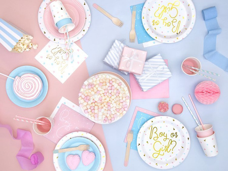 TALERZYKI 23 cm BOY OR GIRL 6 szt.