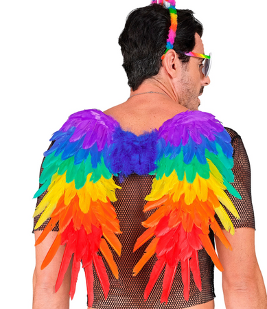 SKRZYDŁA TĘCZOWE 50 X 50 CM