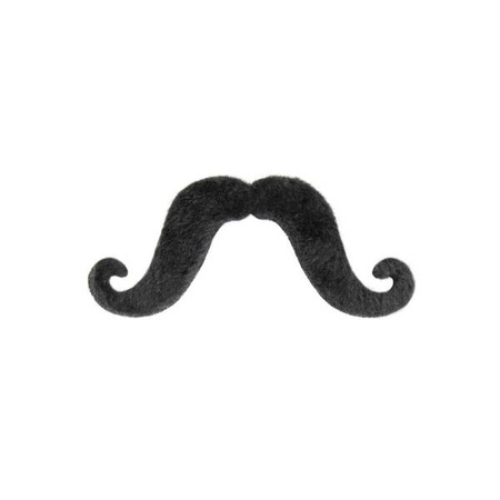 SZTUCZNE WĄSY ARTYSTA 