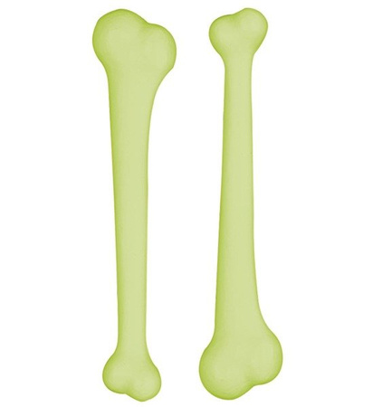 KOŚCI JASKINIOWCA ŚWIECĄCE 2SZT