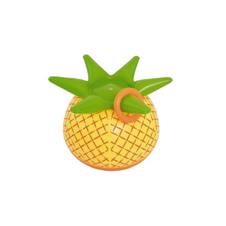ANANAS DMUCHANY