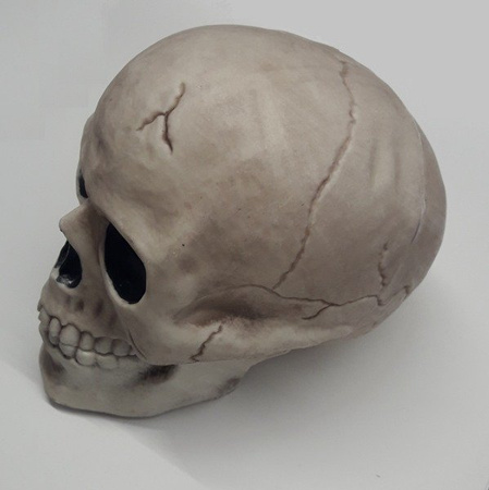 DEKORACJA CZASZKA 20cm