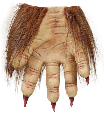 ŁAPY WILKOŁAKA LATEKSOWE