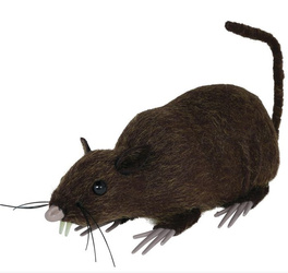 SZCZUR BRĄZOWY 15 CM