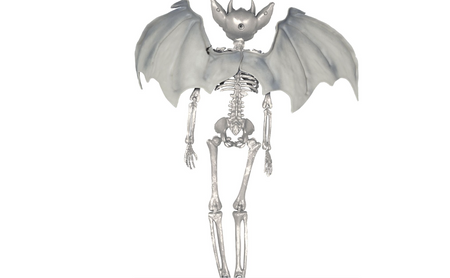 SZKIELET DEMONA ZE SKRZYDŁAMI 40 CM